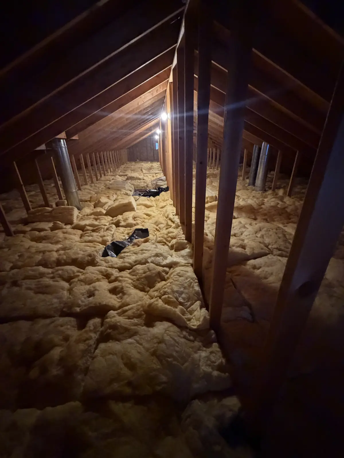 Attic with matted, droppings-contaminated insulation before cleanup